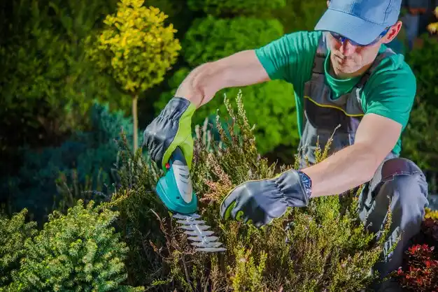 landscaping services Grand River